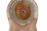 Polished Devil's Red Agate Pair - TeePee Canyon, South Dakota #373408-4